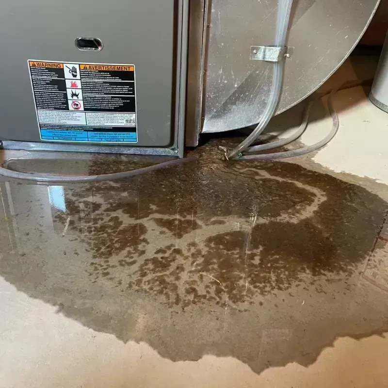 Appliance Leak Cleanup in Niceville, FL